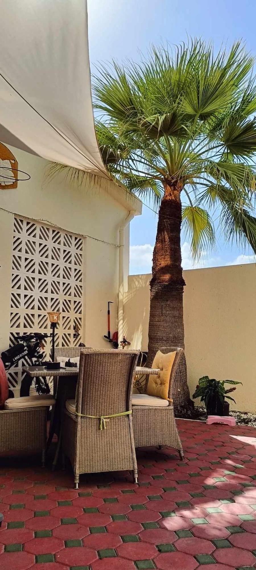 Jumeirah Beach Villa Dubai Exteriör bild